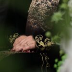 WhatsApp Image 2025-12-14 at 19.45.30 (1)