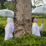 WhatsApp Image 2026-03-29 at 17.22.27 (1)