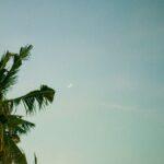 WhatsApp Image 2026-05-12 at 15.25.12 (1)