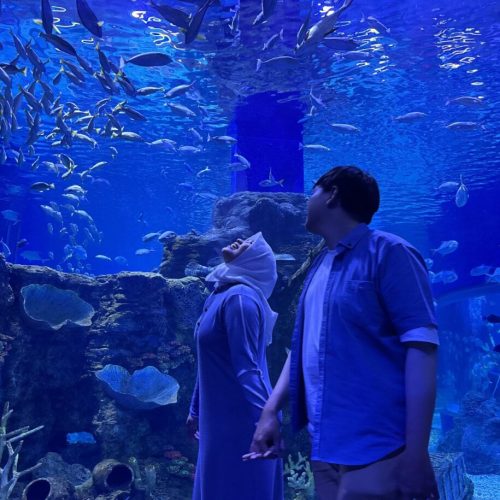 WhatsApp Image 2025-10-05 at 11.29.20 (1)