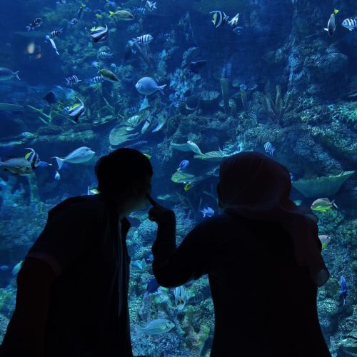 WhatsApp Image 2025-10-05 at 11.29.21 (1)