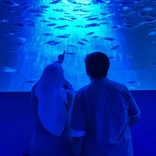 WhatsApp Image 2025-10-05 at 11.29.21 (2)