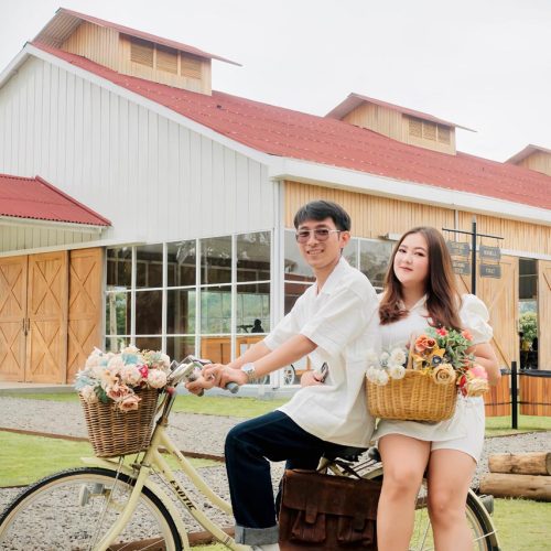 WhatsApp Image 2025-12-01 at 11.47.41