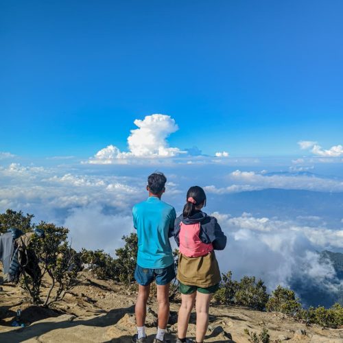 WhatsApp Image 2026-01-05 at 13.23.09 (1)