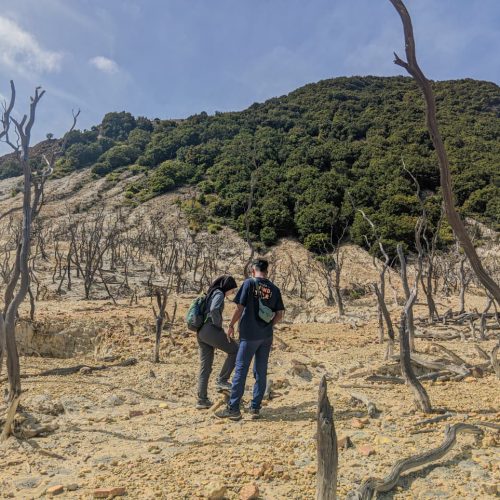 WhatsApp Image 2026-01-05 at 13.23.13